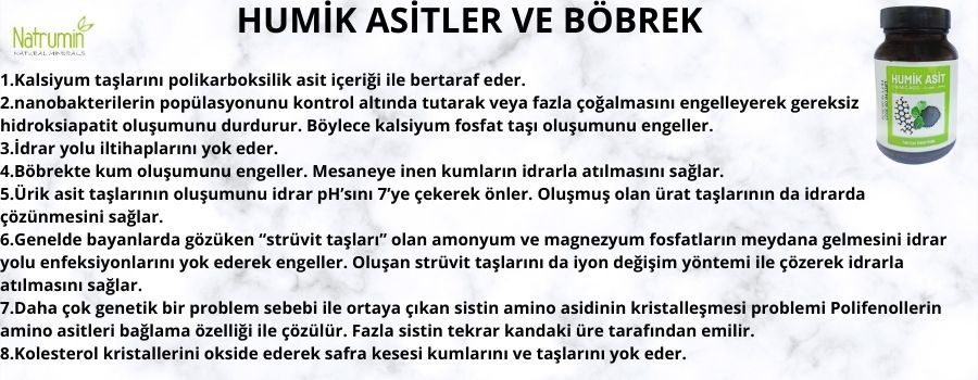 Böbrek Taşı Sorunlarında Humik Asitler