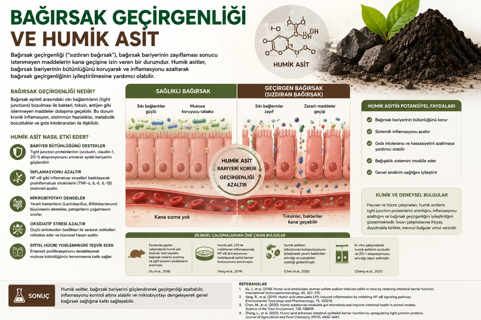 Bağırsak Geçirgenliği ve Humik Asit: Bilimsel Araştırmalar Ne Söylüyor?