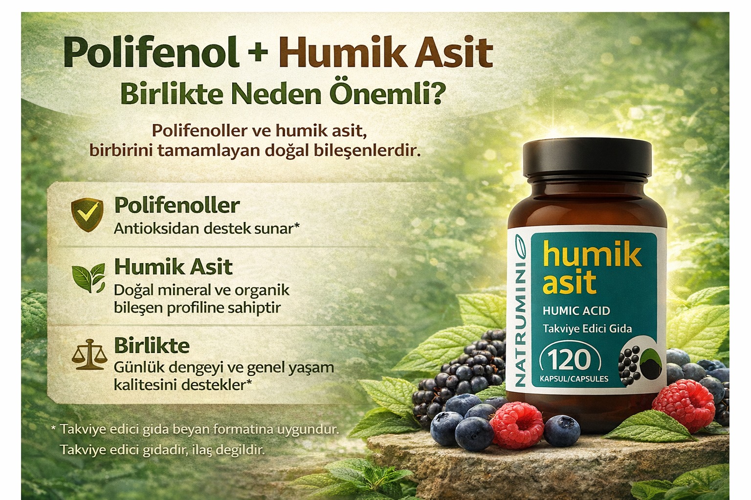 Polifenoller-Humik Asitler